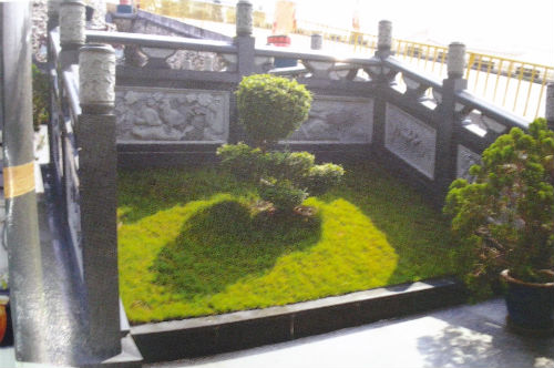 Cây[-]cảnh[-]và[-]cỏ[-]cây[-]xung[-]quanh[-]ngôi[-]nhà[-]mồ